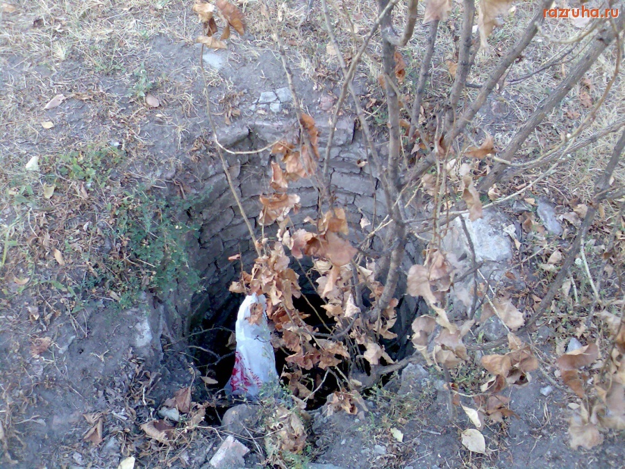 Курск - Открытый люк на собачьем выгуле