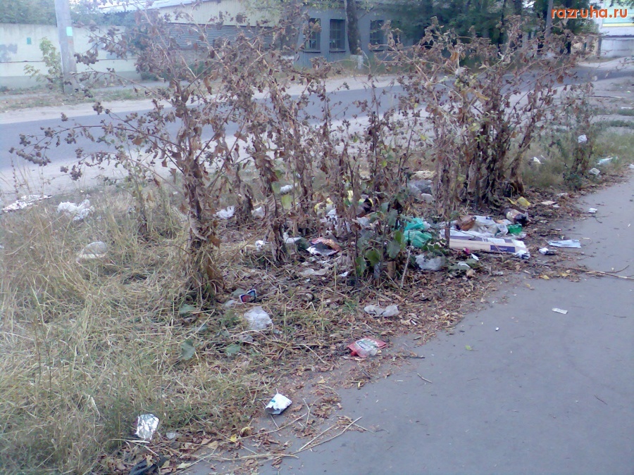 Курск - Мусор возле садика