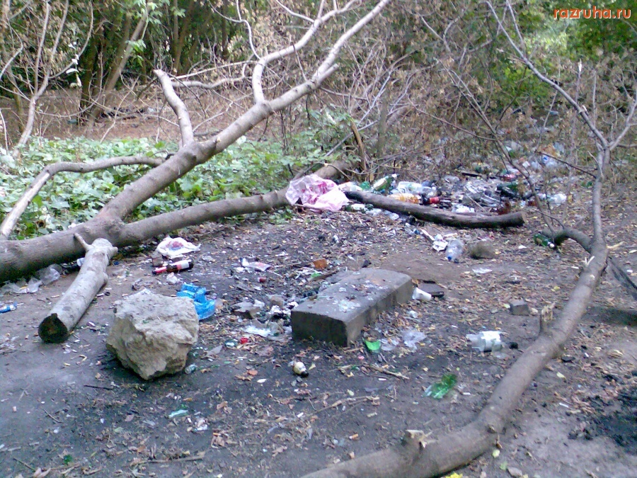 Курск - Мусор у 