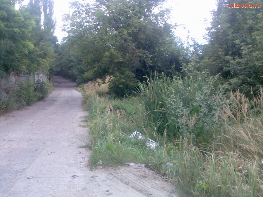 Курск - Болото с грязной водой