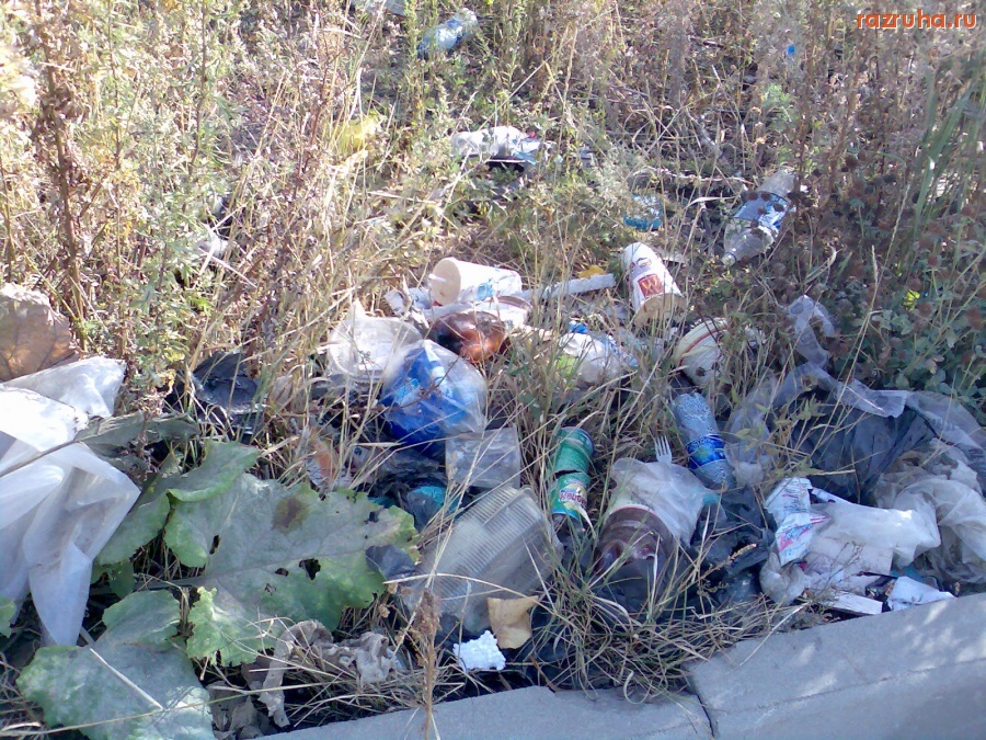 Курск - Мусор на автостоянке