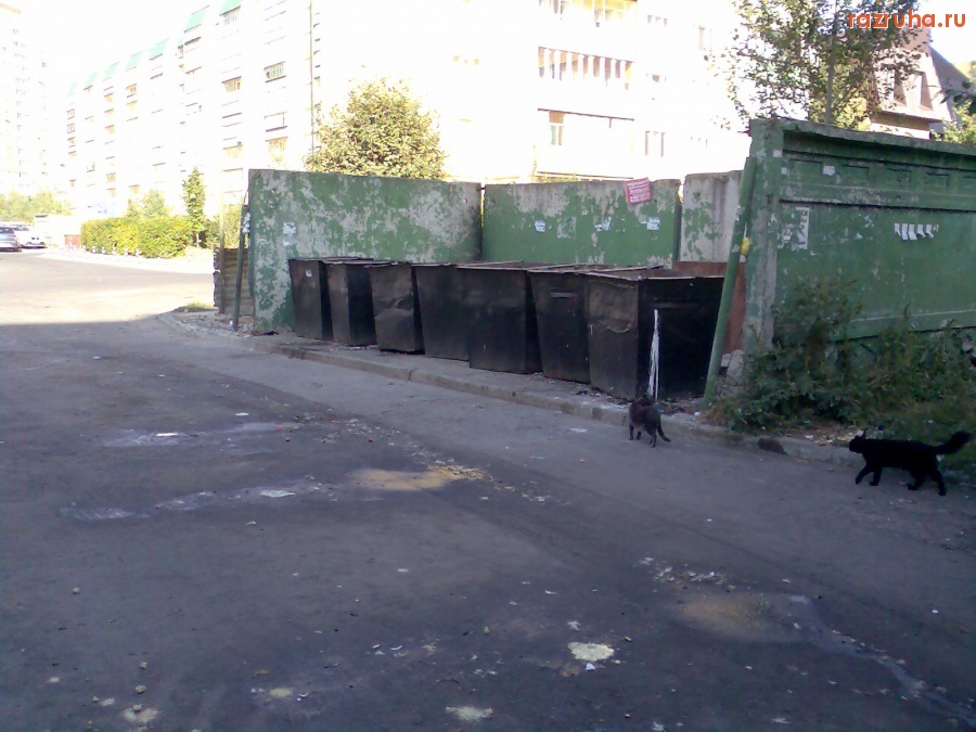 Курск - Помойка возле 