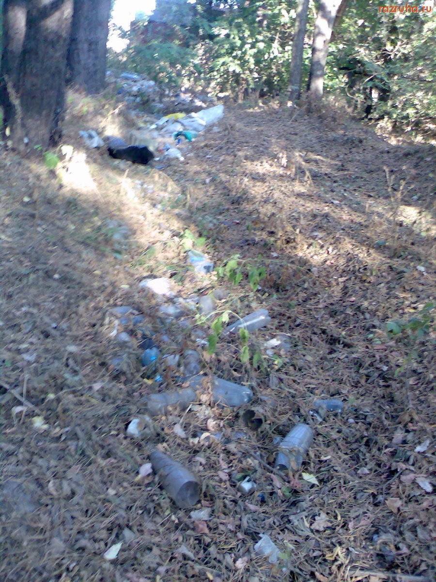 Курск - Мусор в лесу КЗТЗ