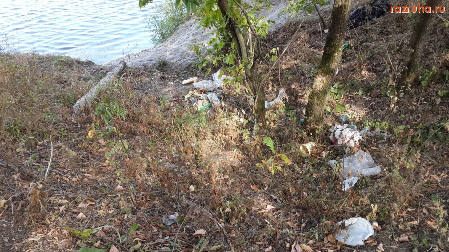 Курск - Лес около Сейма (место 1 из 8)