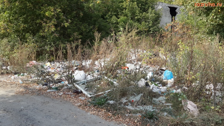 Курск - Лес около Сейма (место 3 из 8)