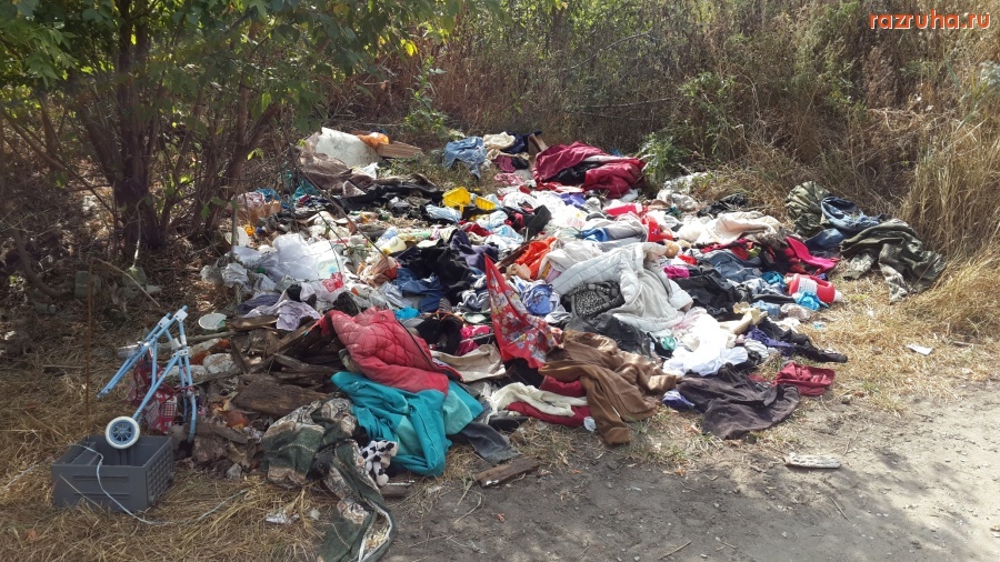 Курск - Лес около Сейма (место 5 из 8)