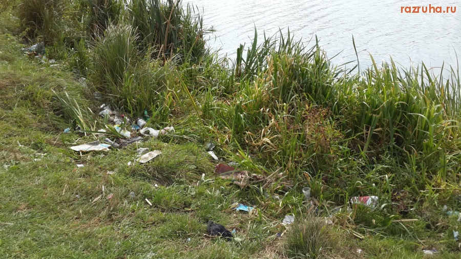 Курск - Лес около Сейма (место 7 из 8)