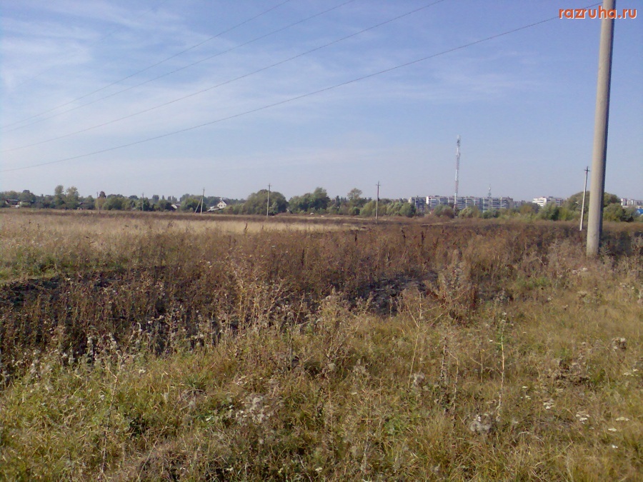 Курск - Последствия степного пожара 2