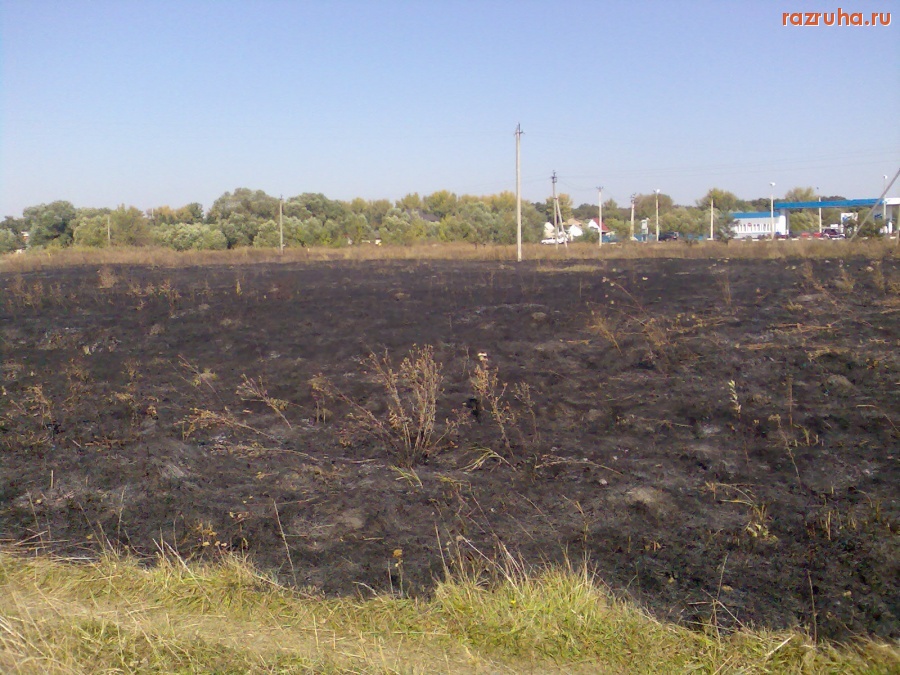 Курск - Последствия степного пожара 3