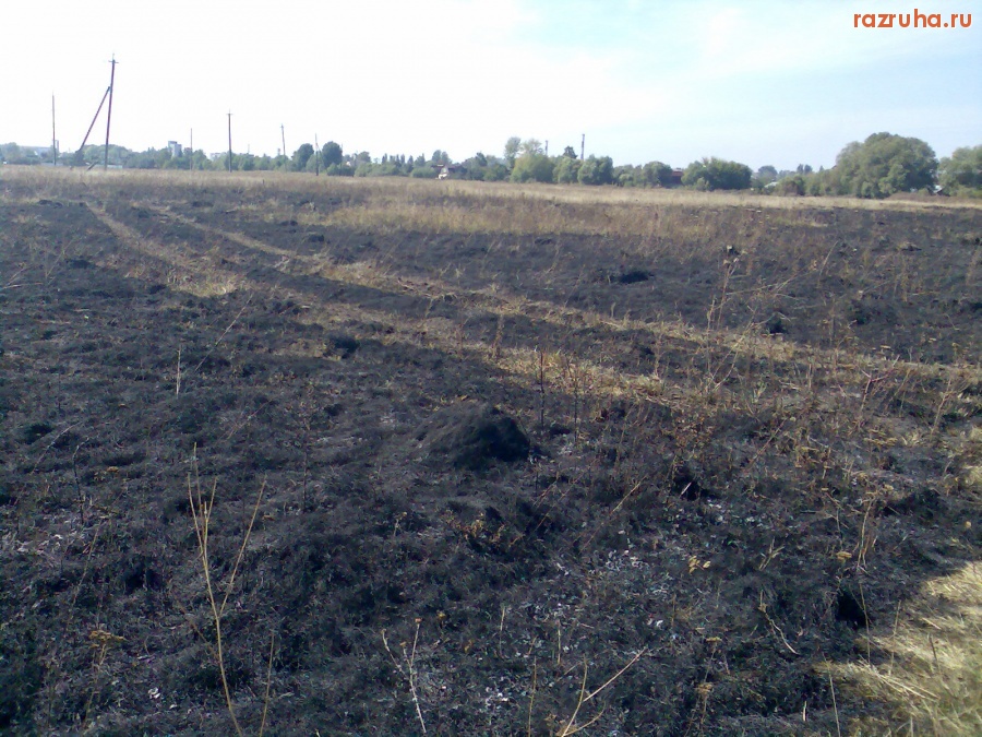 Курск - Последствия степного пожара 4