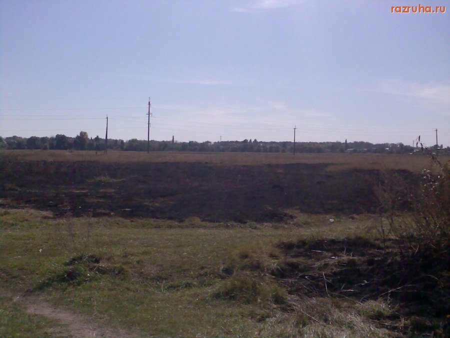 Курск - Последствия степного пожара 5