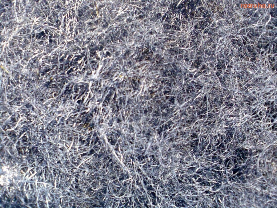 Курск - Последствия степного пожара 7