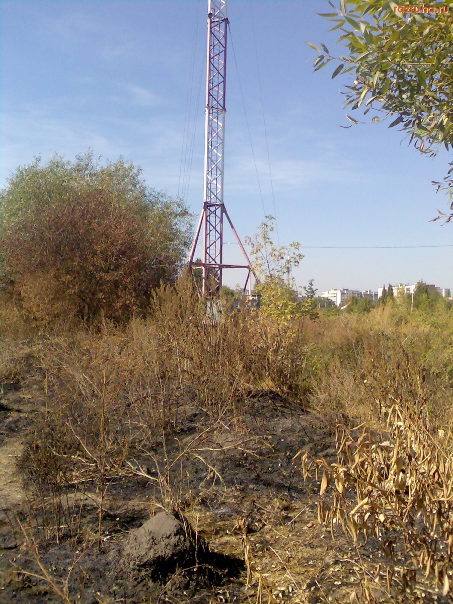 Курск - Последствия степного пожара 8