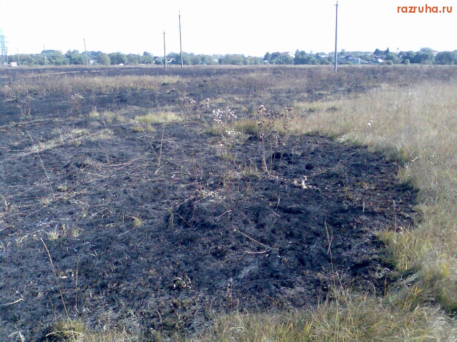 Курск - Последствия степного пожара 9