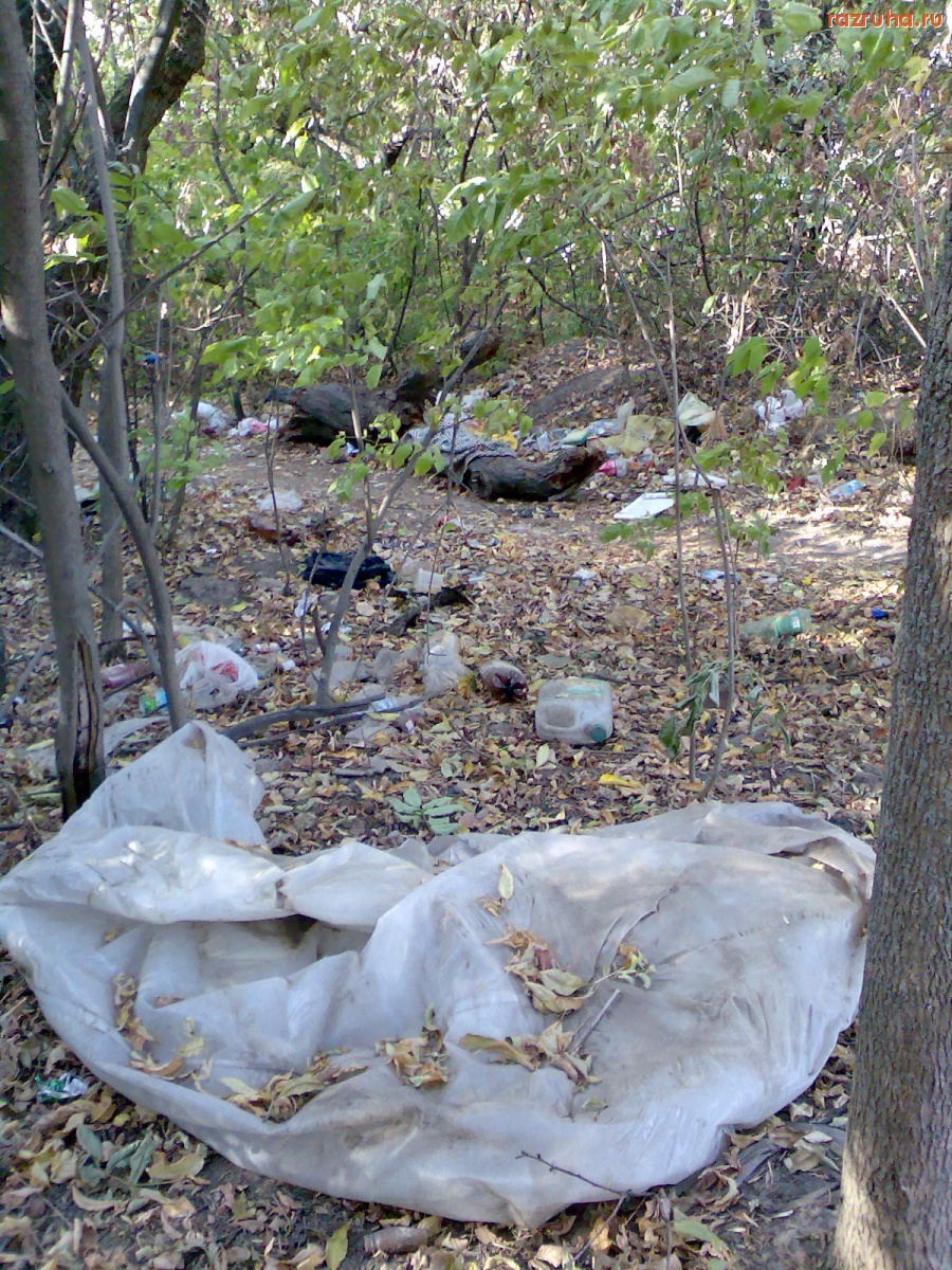 Курск - Мусор в леске