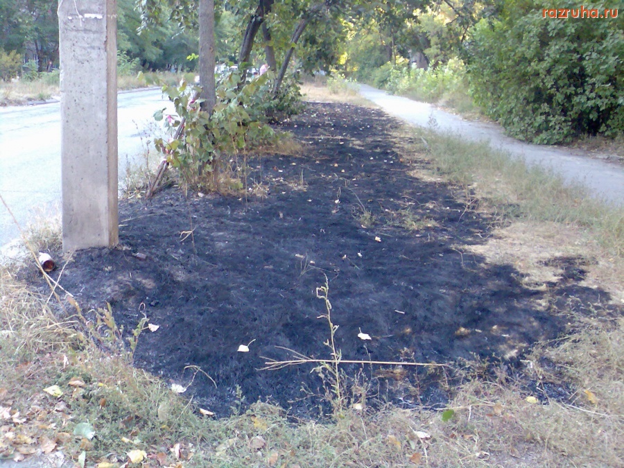 Курск - Сгоревшая трава