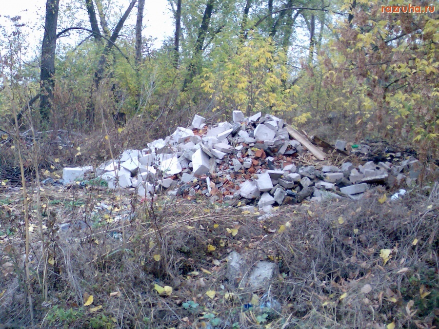 Курск - Мусор в лесу