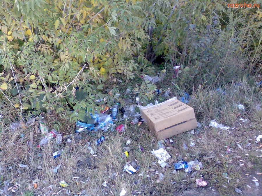 Курск - Мусор на побережье Прямца