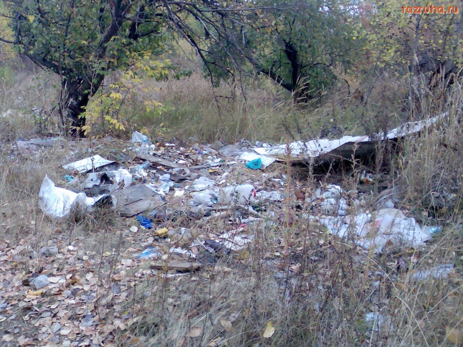 Курск - Лесной мусор