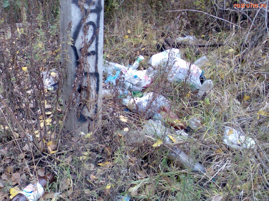 Курск - Мусор в лесах на окраинах