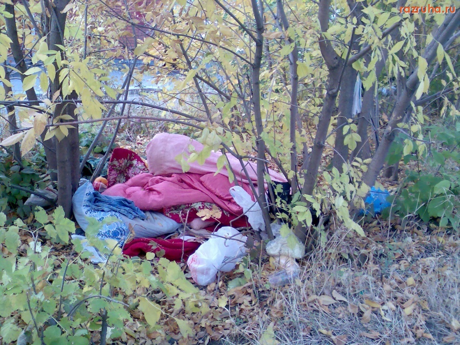 Курск - Мусор в кустиках