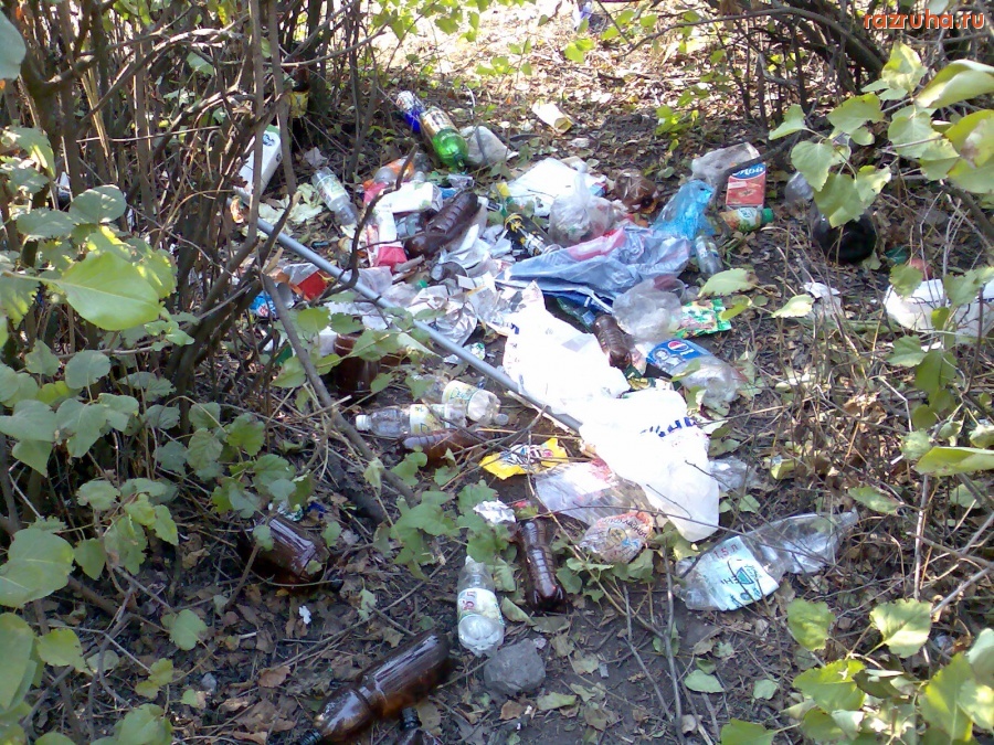 Курск - Мусор спрятался в кустах