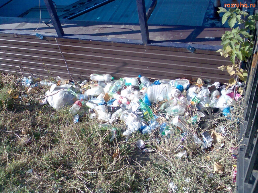 Курск - Мусор скопился