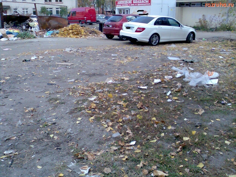 Курск - С помойки во двор несёт мусор