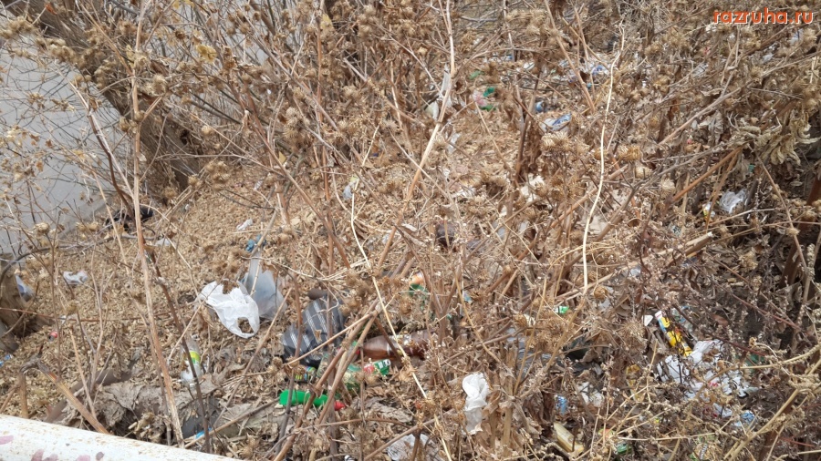 Курск - Пешеходный мост через Тускарь