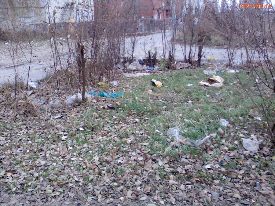 Курск - Ветер разнёс мусор с помойки