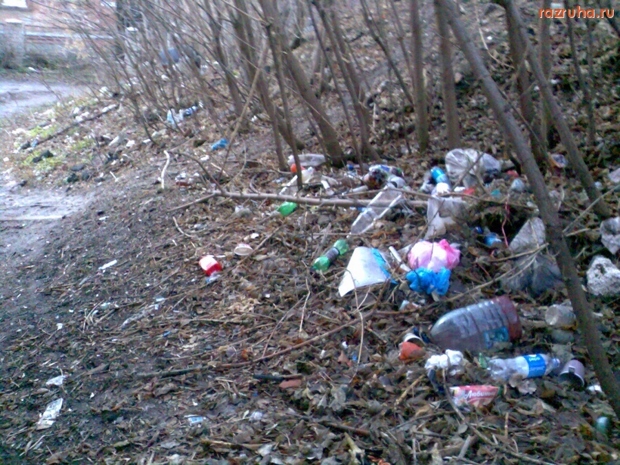 Курск - Мусор на склоне на Марата