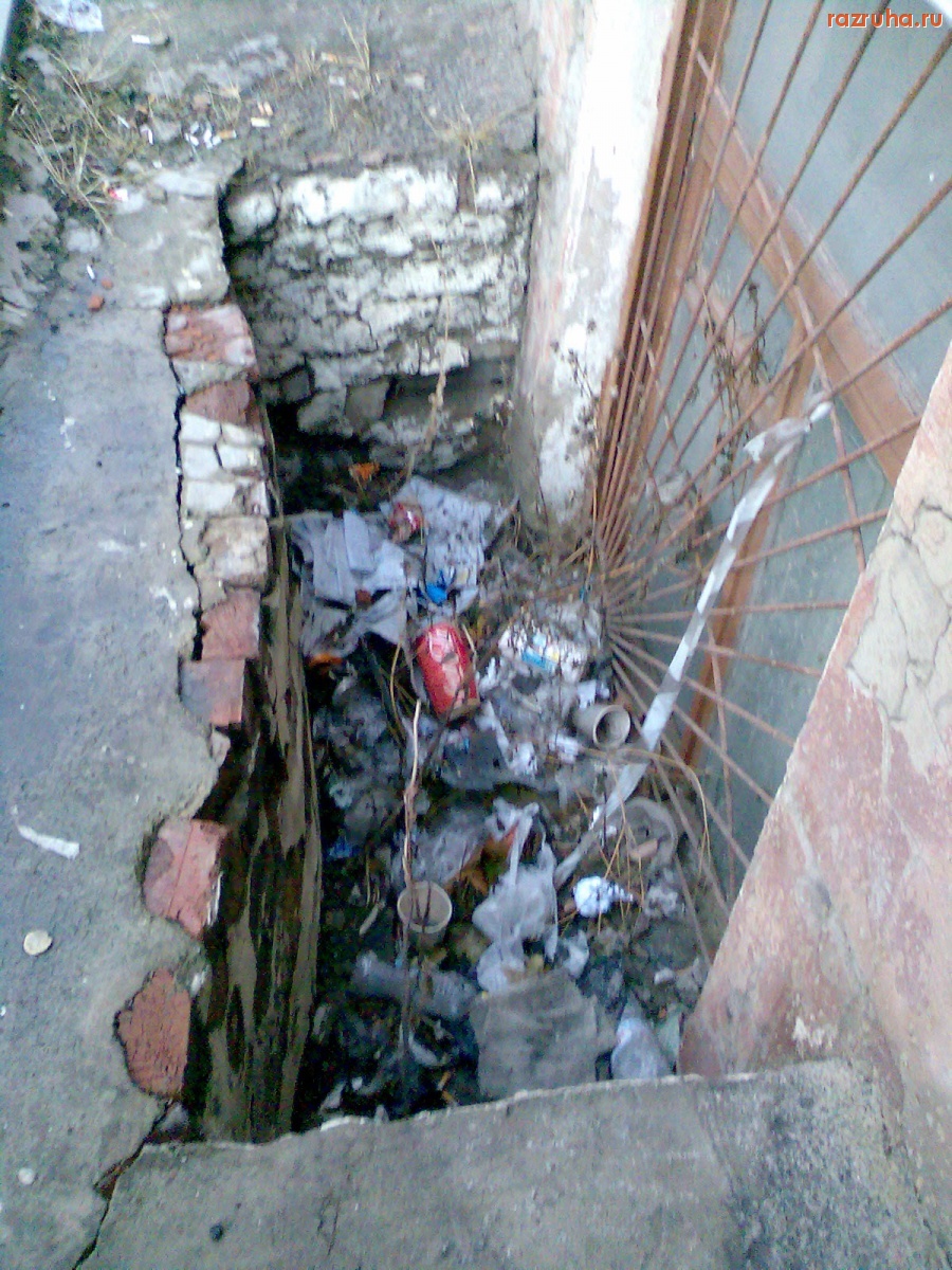 Курск - Место для мусора нашли