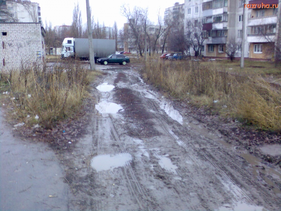 Курск - Разнесло мусор с помойки