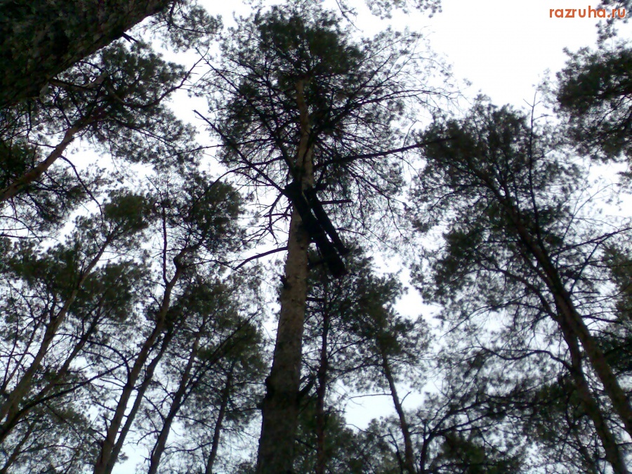 Курск - Лабаз