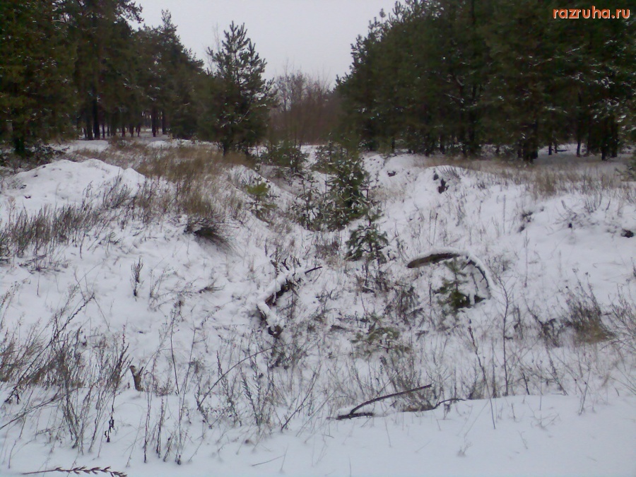 Курск - Следы незаконной добычи песка
