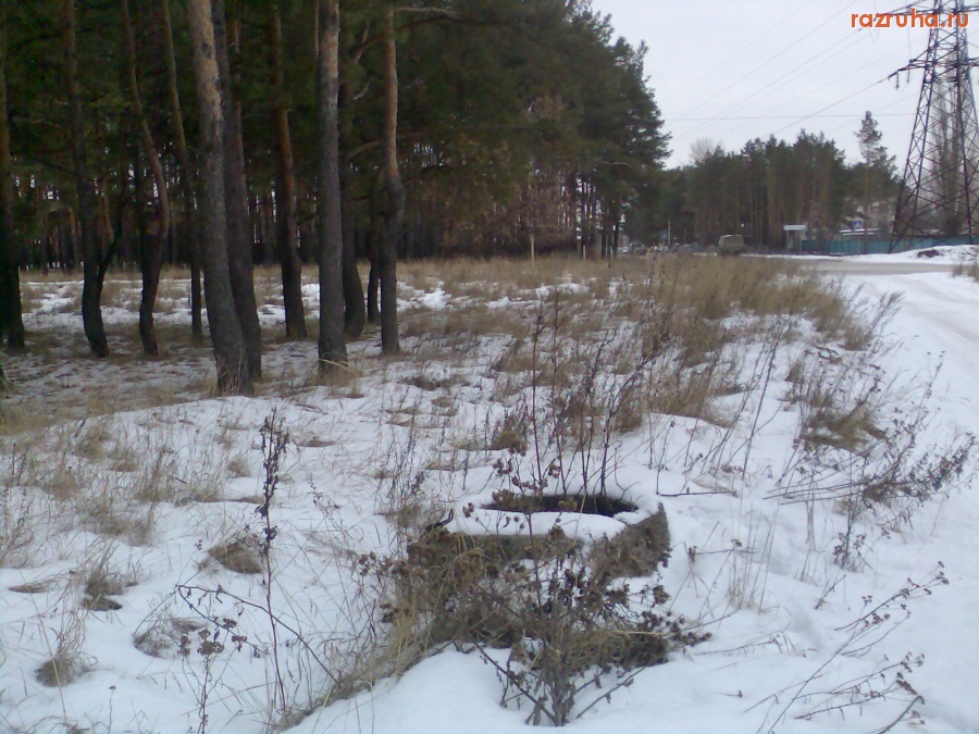 Курск - Люк на Дачной улице