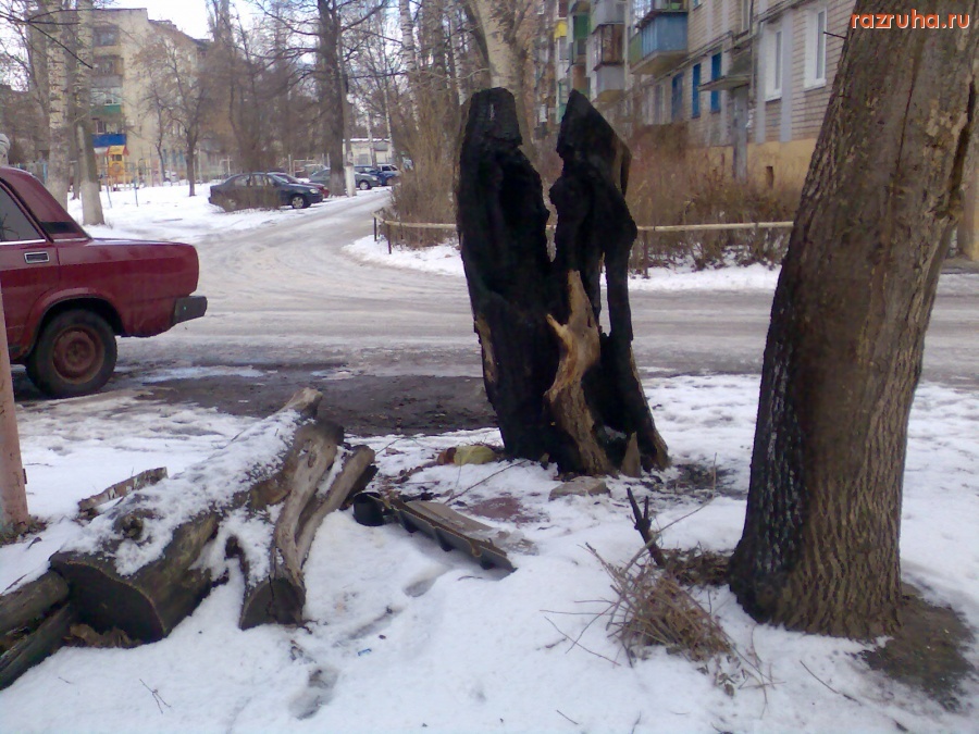 Курск - Обгоревший пень