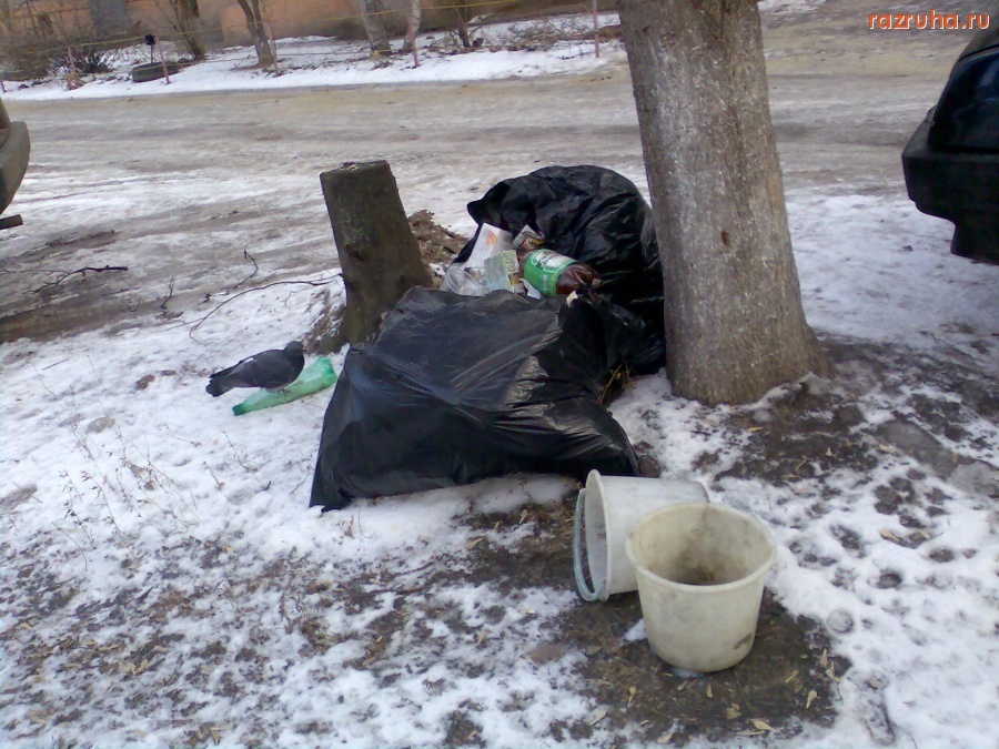 Курск - Мусор во дворе