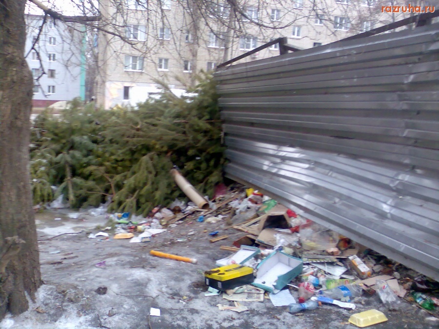 Курск - Ёлки на помойке