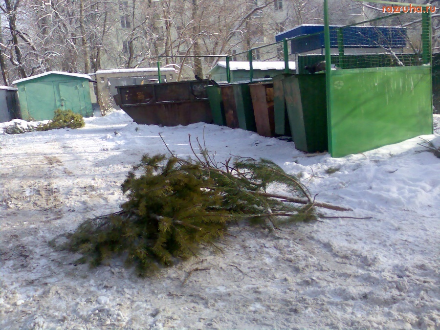 Курск - Защита ёлками