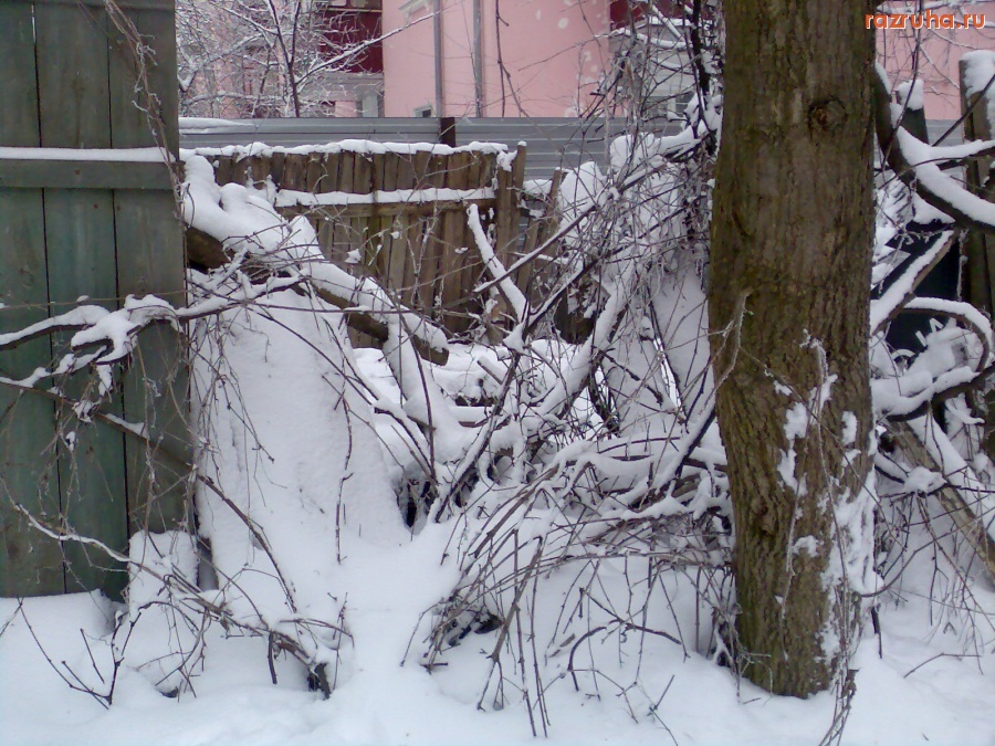 Курск - Закоулок за ломанным забором