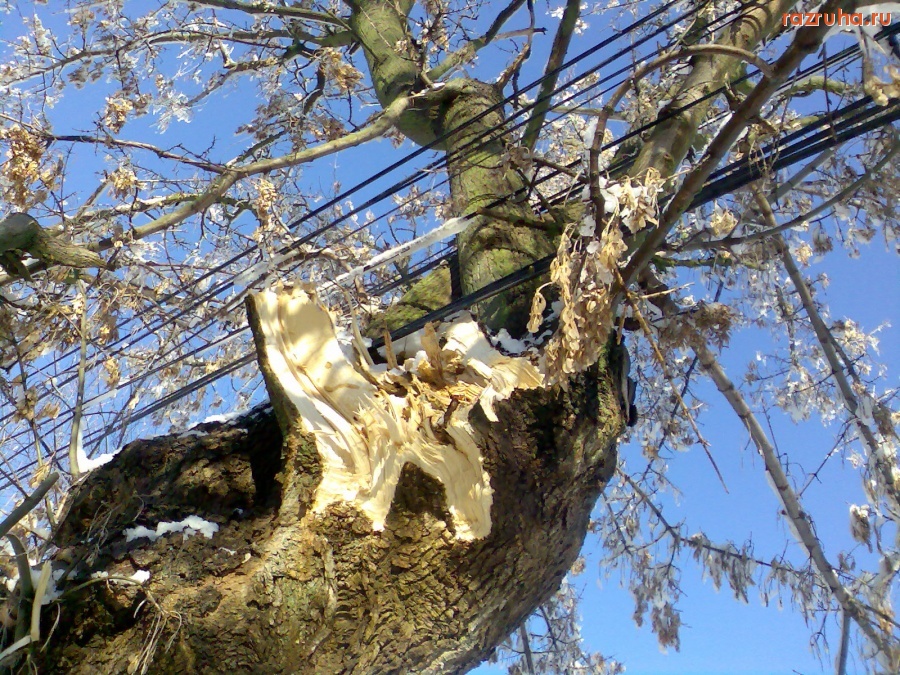 Курск - На улице Белинского