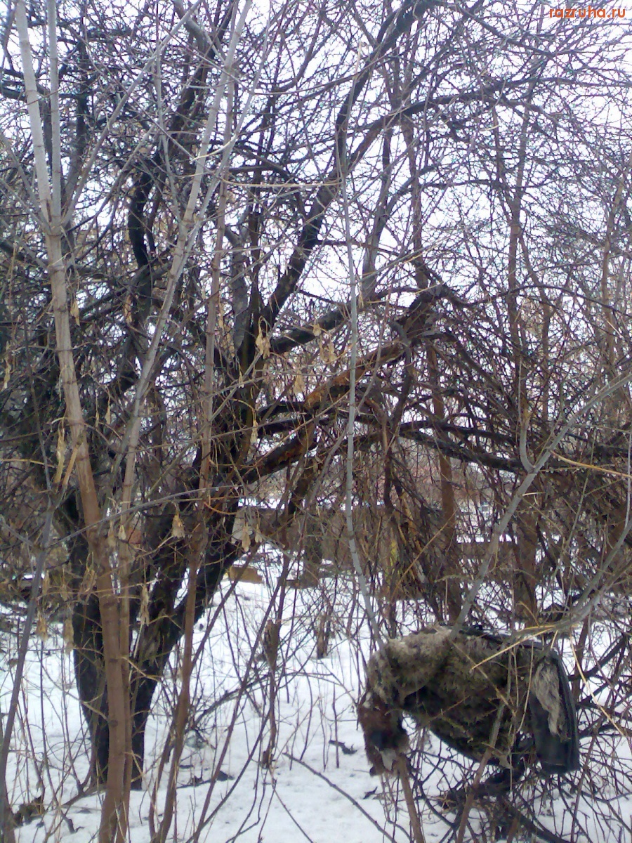 Курск - Захламлённая территория