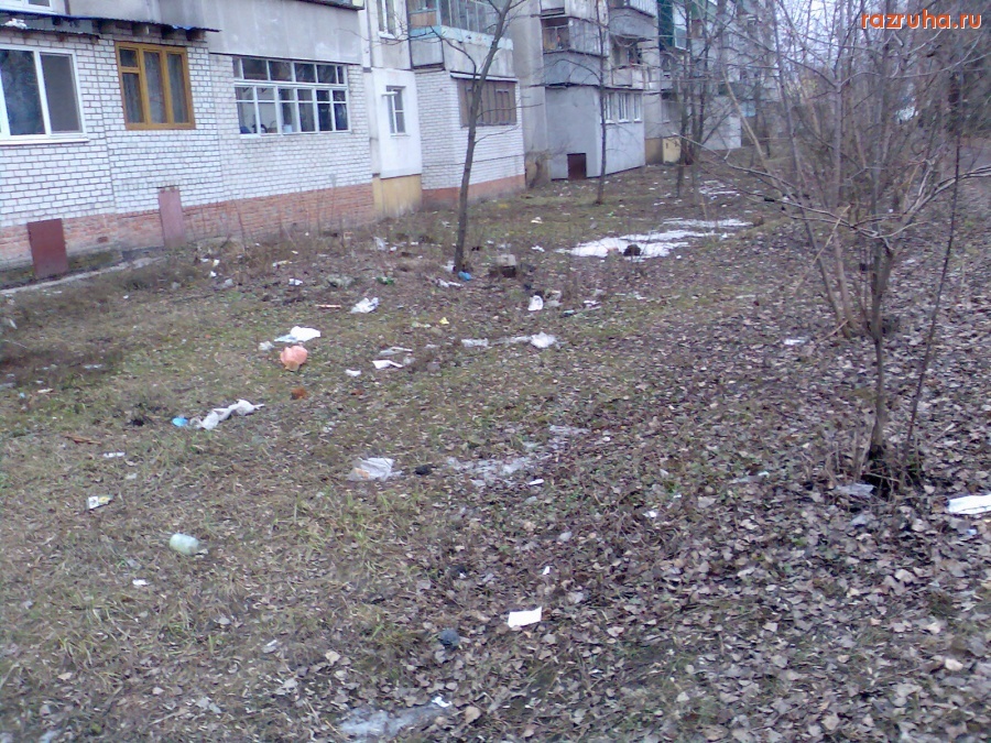 Курск - Мусор у дома