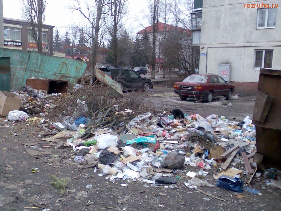 Курск - Помойка на Сумской