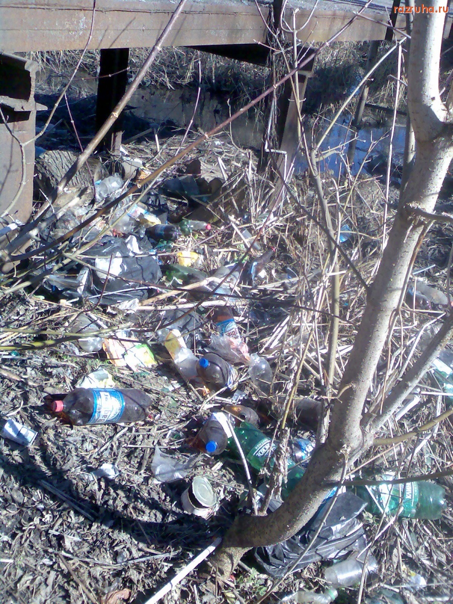 Курск - Загаженный берег