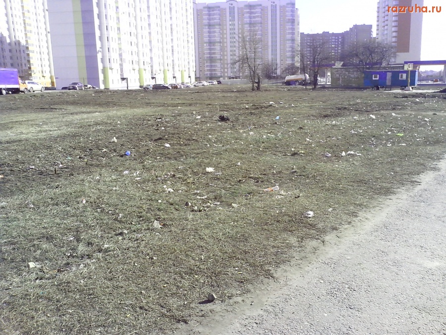 Курск - Курск