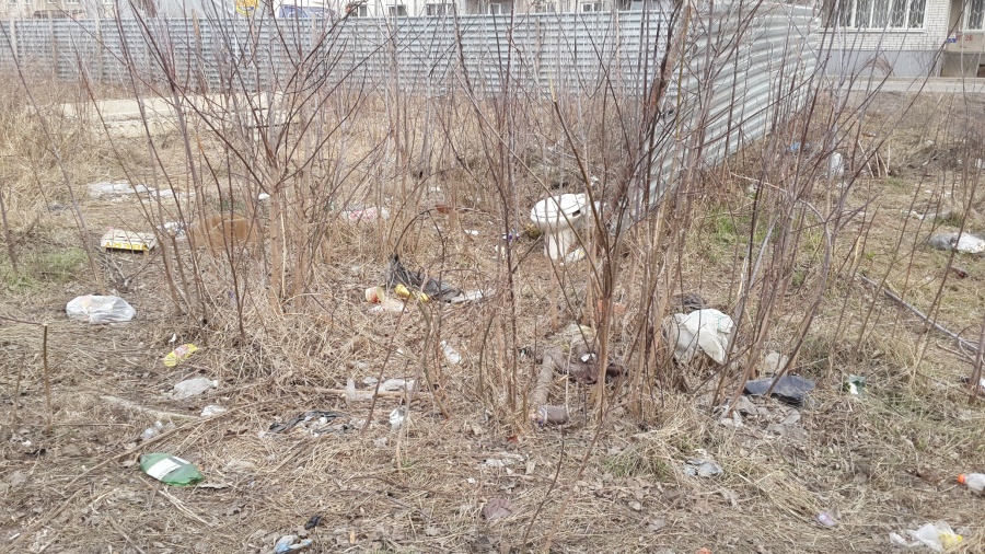 Курск - Реализация программы бесплатных туалетов