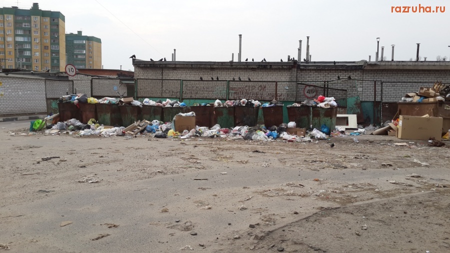 Курск - Мусорная площадка