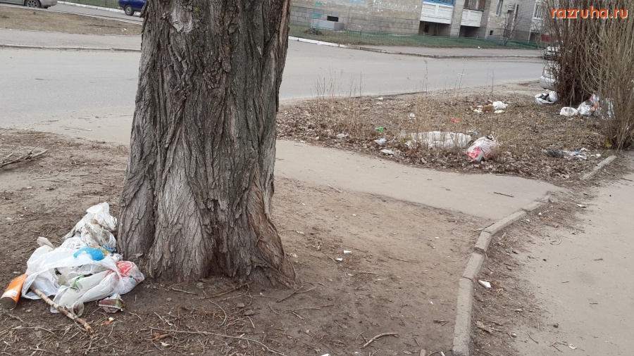 Курск - Серёгина 26